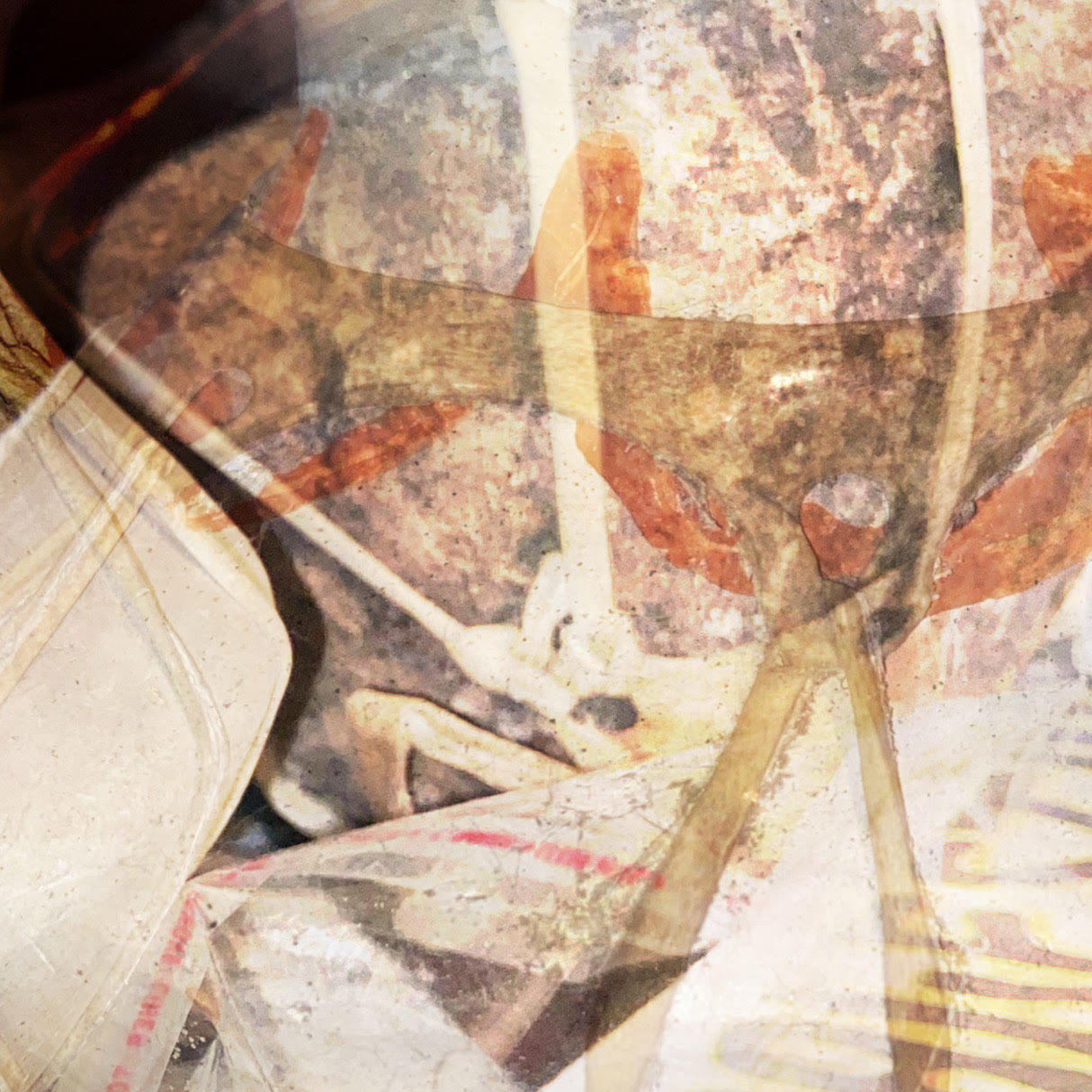“Apophenic Epiphanies” – Three Poems by Steve Carll