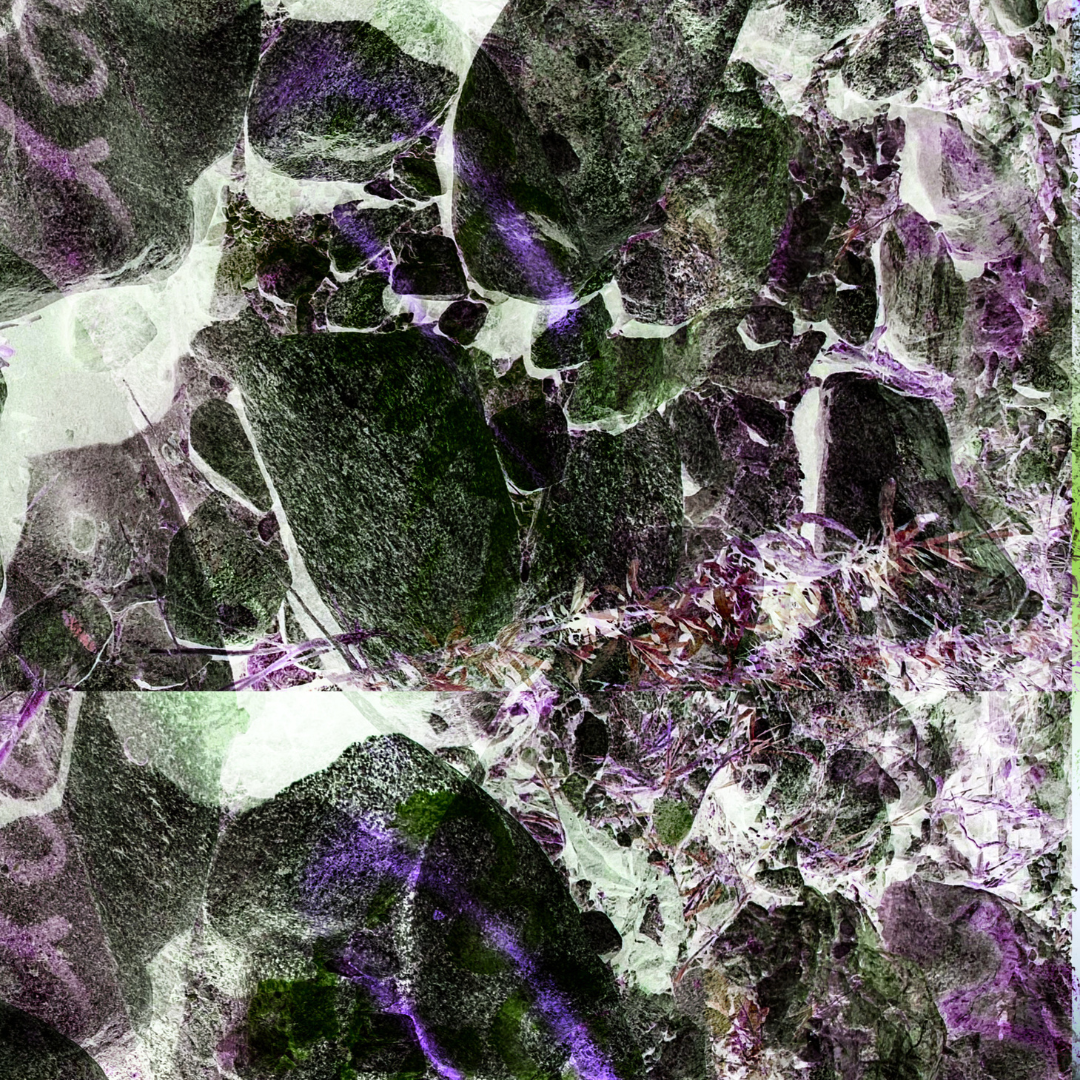 “Lizardrule” – Nicholas Alexander Hayes