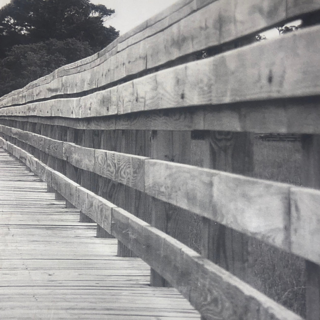 Signs of Being Moved: A Review of Imitations by Jamie Lee Hamann