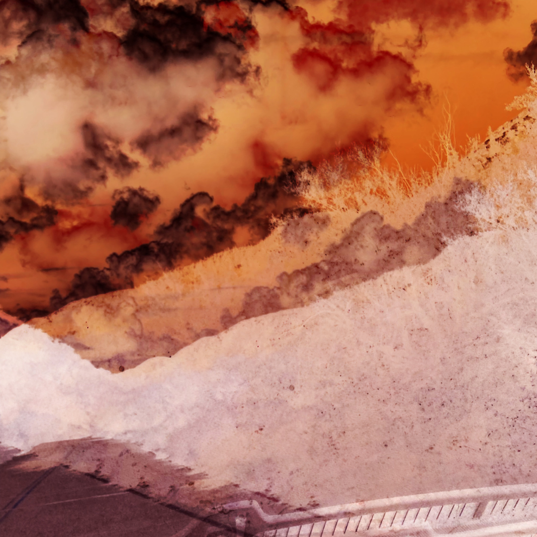 “Unity Fist Roller Hosted Dish” – Joshua Martin