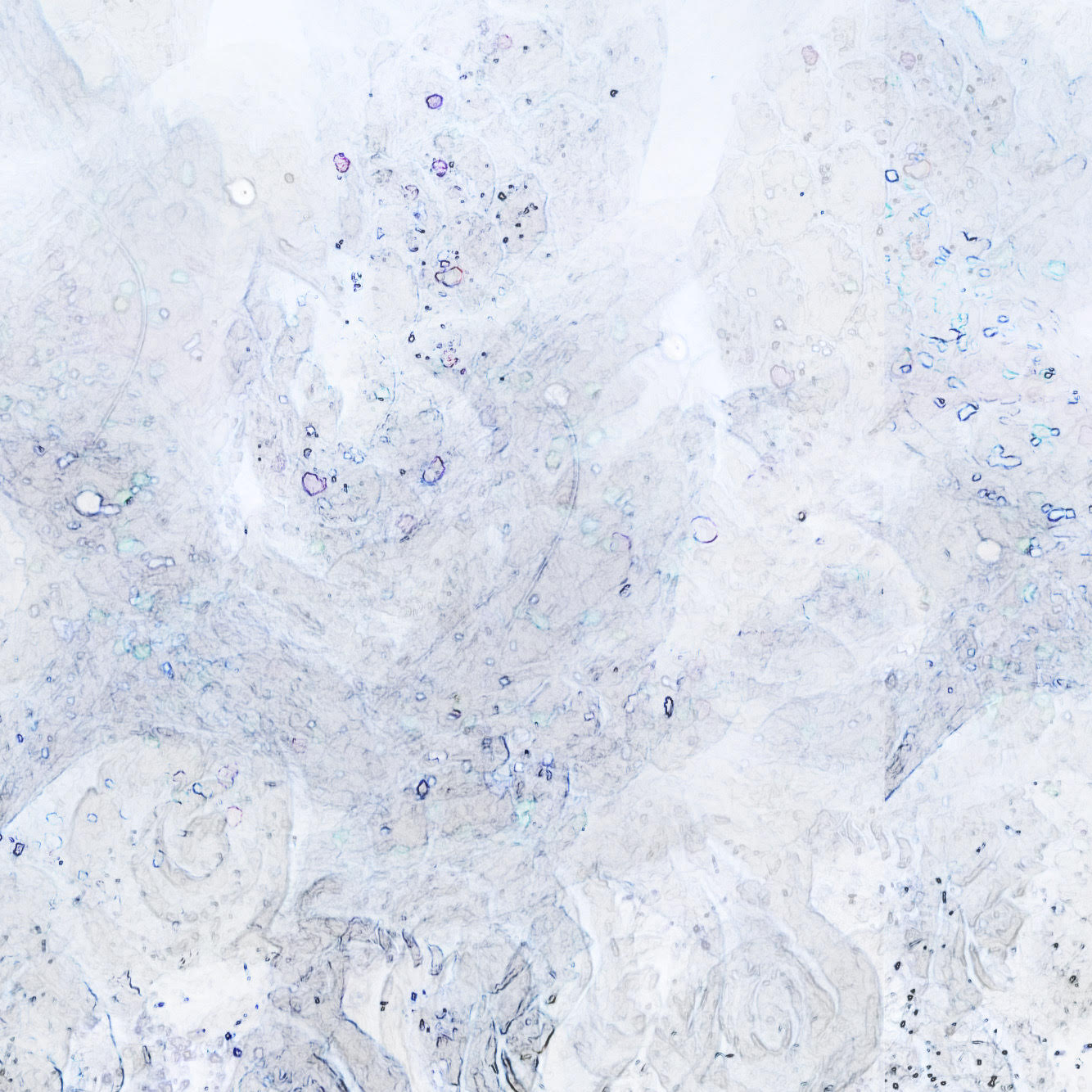 “Thirty-Six Affirmations” – Sam Robinson