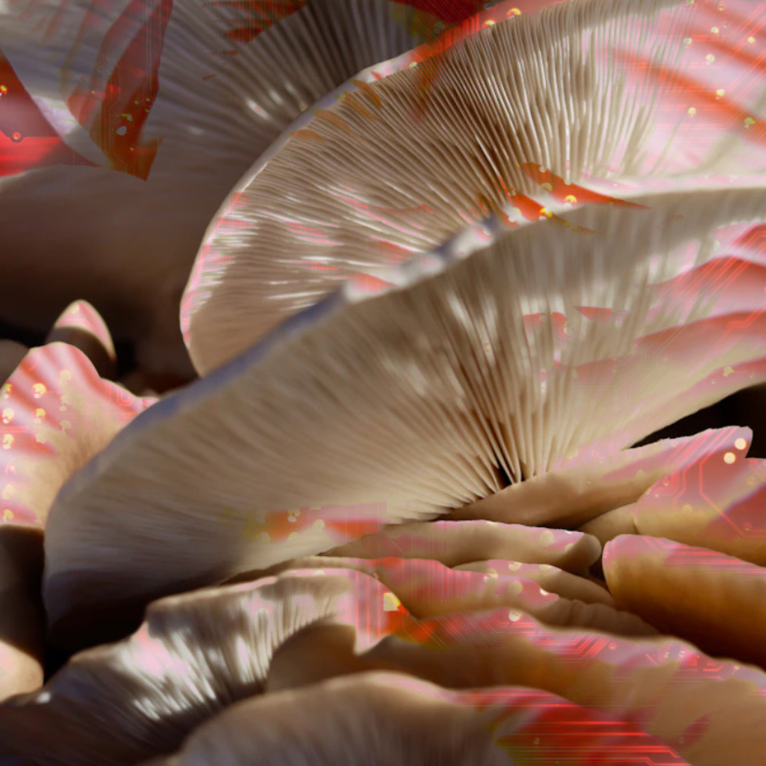 “sex addiction in new england figment” & “poetry is not ethical in a crisis but we do it anyway”