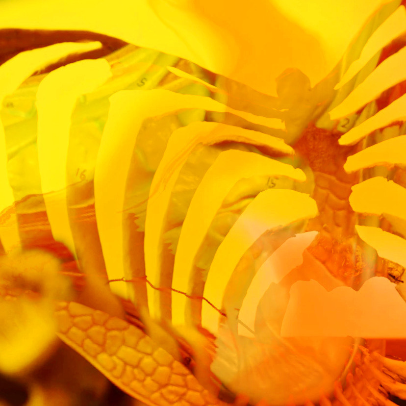 Excerpts from “Would-Be Tweets (Shitposting/Doomscrolling Cannonball) – Charles March