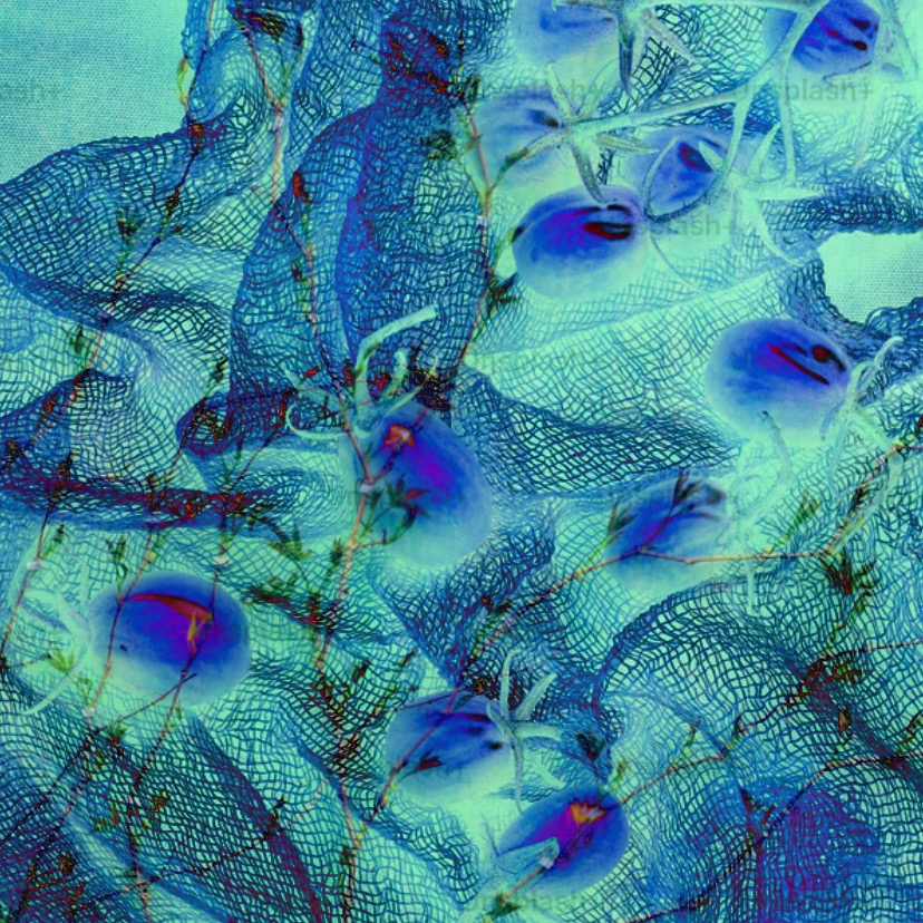 Four Selections from “Liminal Observations” – Francis Bailléres