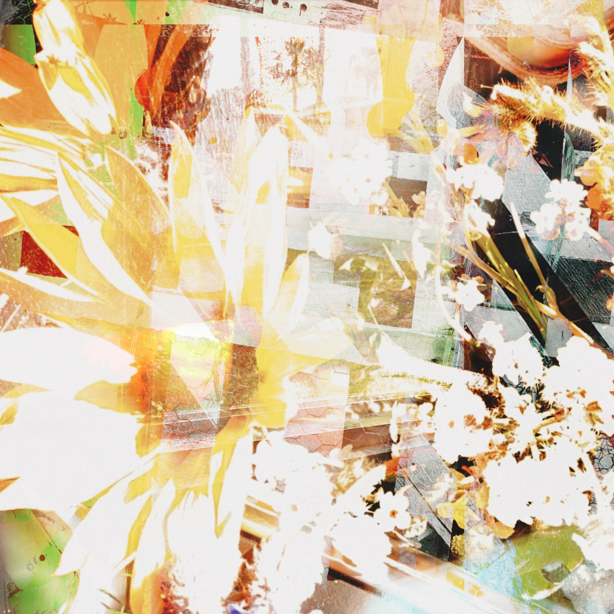 “The Pétroleuse” – Nicholas Alexander Hayes